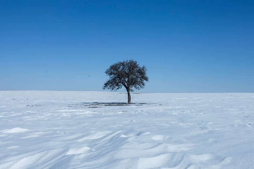 Съемка одинокого дерева - техника таймлапс, фото 2